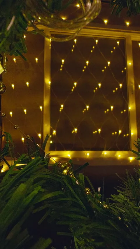 Vertical video. View From Inside a Christmas Tree as a Wrapped Holiday Gift Is P Stock Footage 338196874