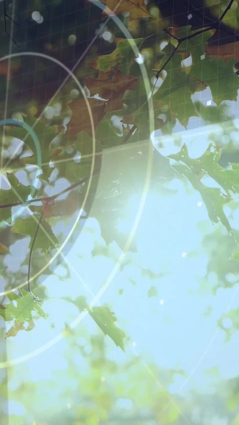 Vertical video: View shift HUD and leaves tilting, glowing, rings drifting to Stock Footage 333479857