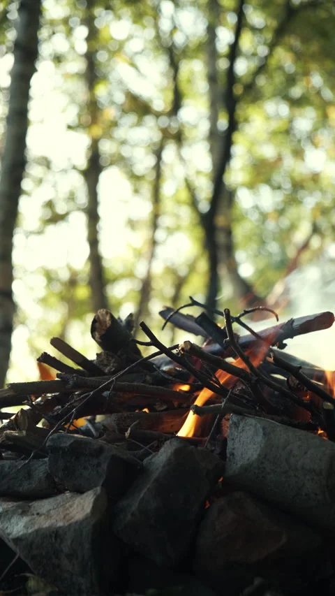 Vertical video of vivid fire flame over wooden logs at summer or autumn time Stock Footage 286313743