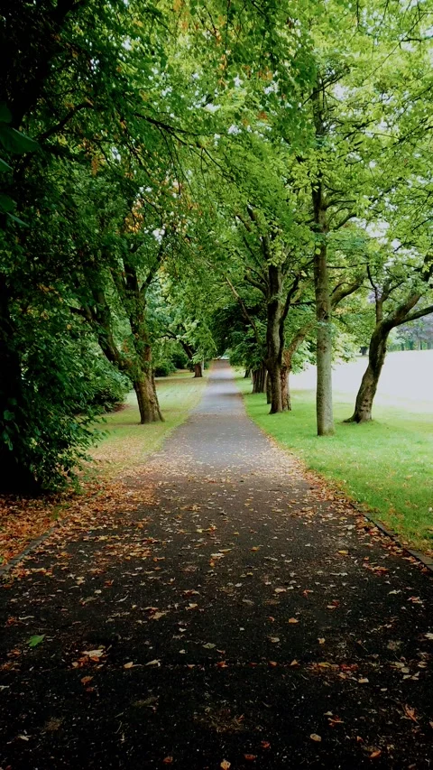 Vertical Video. Walking along a long path in a quiet city park. Video stock 160078153