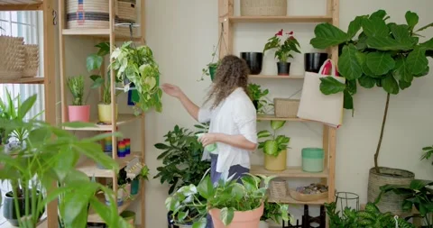 Vertical video: Walking to shelf gardener in white shirt fixing green pot Stock Footage 344327486