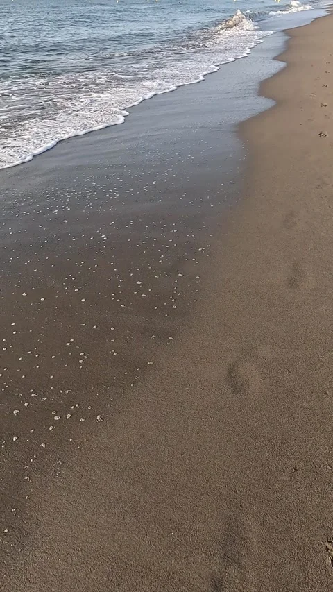 Vertical video walking on the shore of a beach Stock Footage 297083592