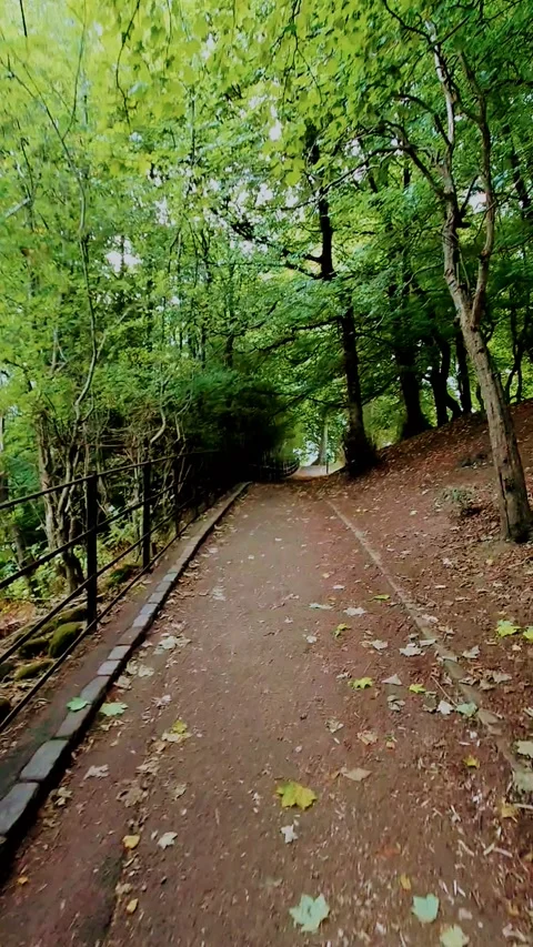 Vertical Video. Walking an uphill path in a city park. 動画素材 160080503