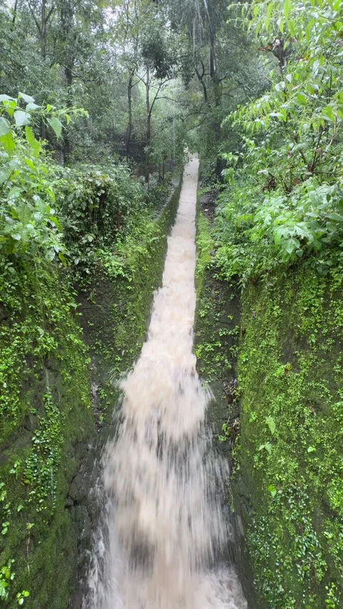 Vertical Video of Water Gushing Down Historic British Era Drain in Nainital Stock Footage 345631962