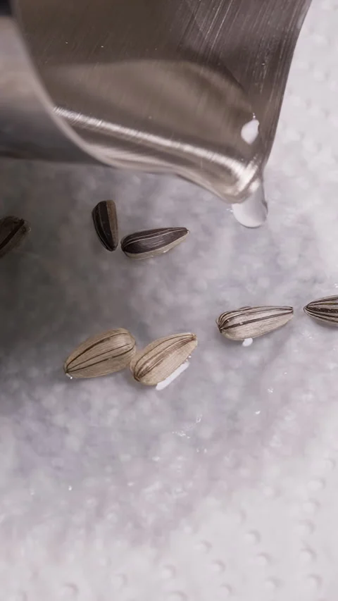 Vertical video. Water Pours Over Striped Sunflower Seeds on White Paper Towel, C Stock Footage 341418655