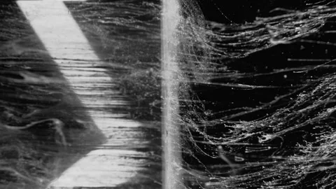 Vertical video water splash ink drip white black Stock Footage 234481317