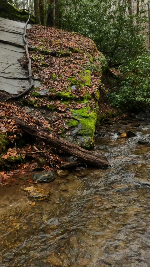 Vertical Video Waterfall and River in a forest during the winter 스톡 동영상 304435296