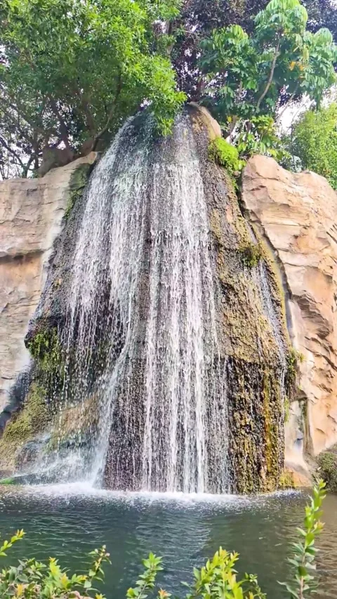 A vertical video of a waterfall falling from a cliff on a sunny day. No sound Stock Footage 325485234