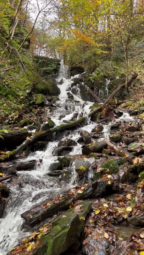 Vertical video Waterfall Forest Stock Footage 264053523