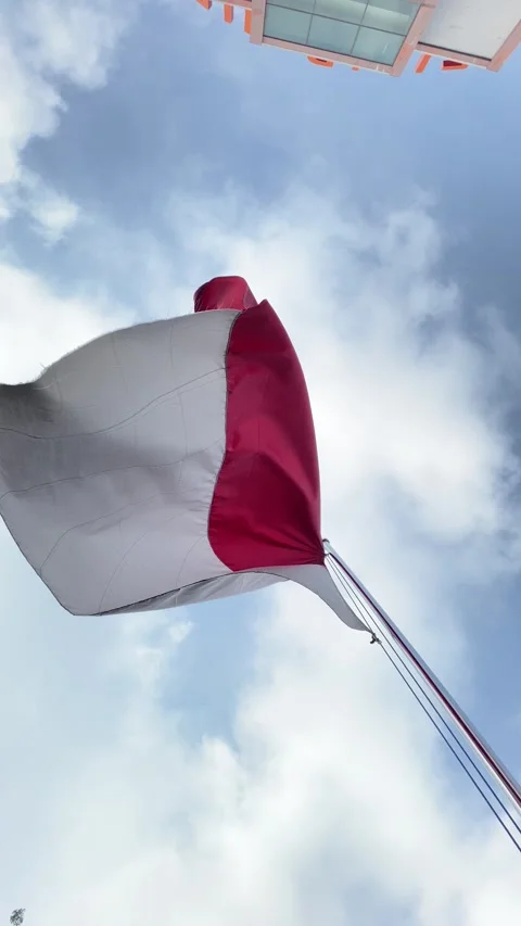 Vertical video of Waving flag Stock Footage 293039241