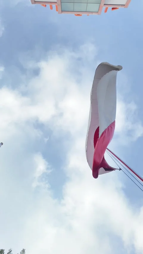 Vertical video of Waving flag Stock Footage 293039270