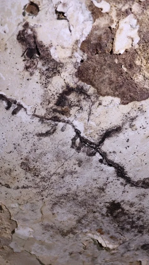 Vertical video. The white ceiling in the interior of the room is covered with Video stock 294047903