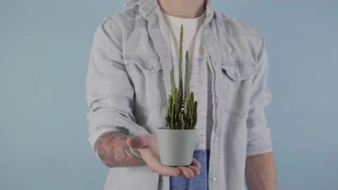 Vertical video white man holding cactus pot mens problems Video stock 229623980