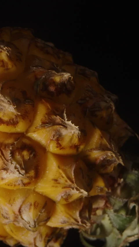 Vertical video. Whole Small Pineapple Rotating and Falling in Slow Motion with Video stock 310668842