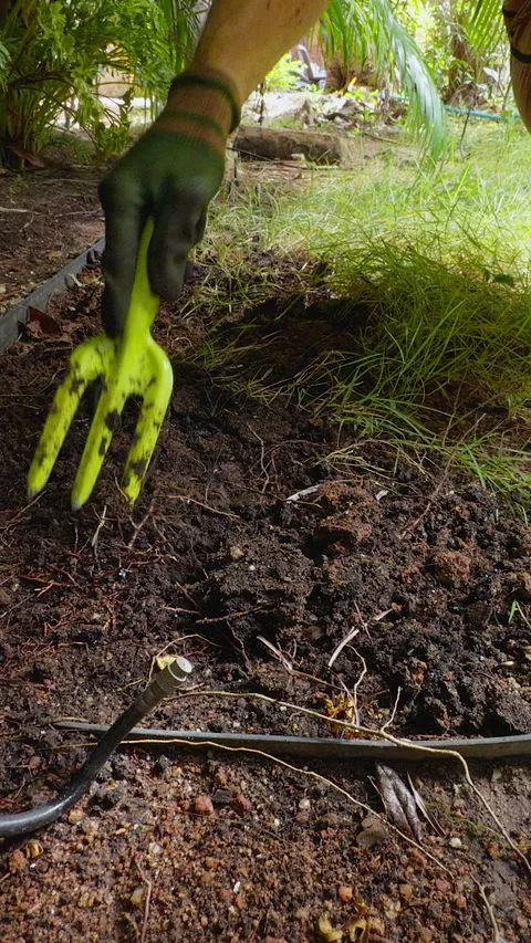 Vertical video. Wide Angle Low View of a Woman Loosening Dark Soil with a Green Stock Footage 340214297