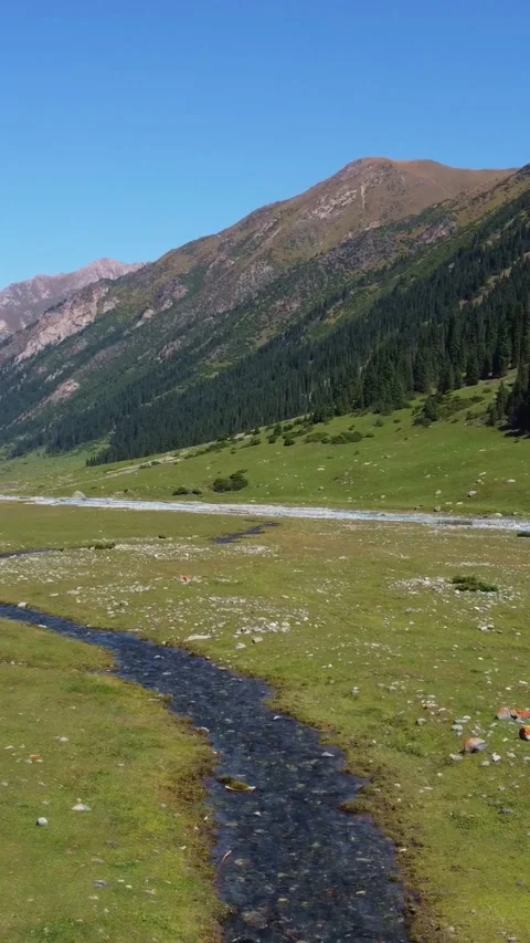 Vertical video: Wide angle view of vast mountain valley with winding stream Stock Footage 336690132