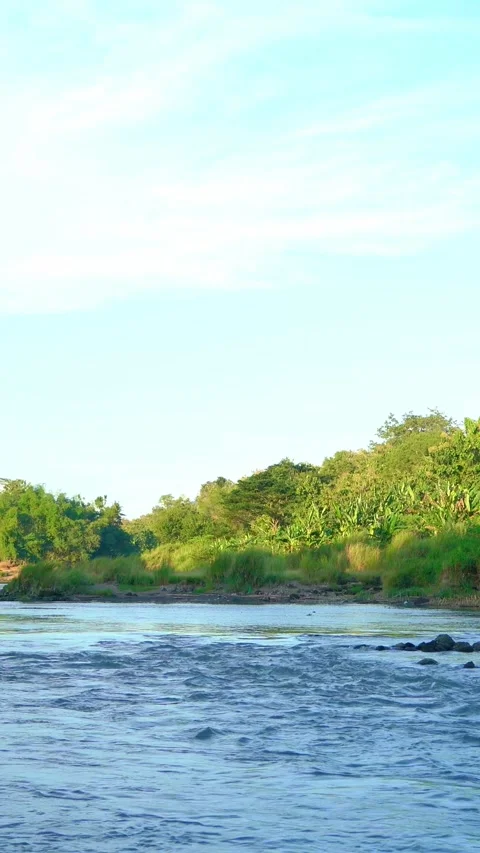 Vertical video of wide tropical river landscape Stock Footage 336318329
