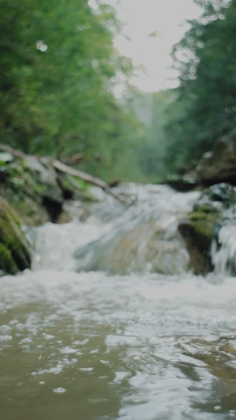 Vertical video of wild mountain river flowing through stone boulders Stock Footage 285408689