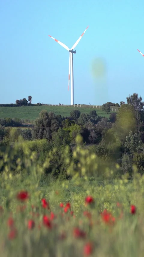 Vertical video, Wind power stations Stock-Footage 313150462