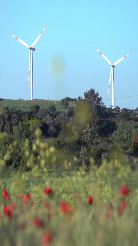 Vertical video, Wind power stations 動画素材 313150469