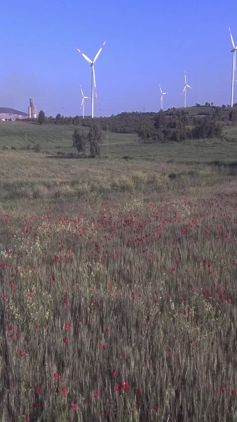 Vertical video, Wind power stations Vidéo 313150489