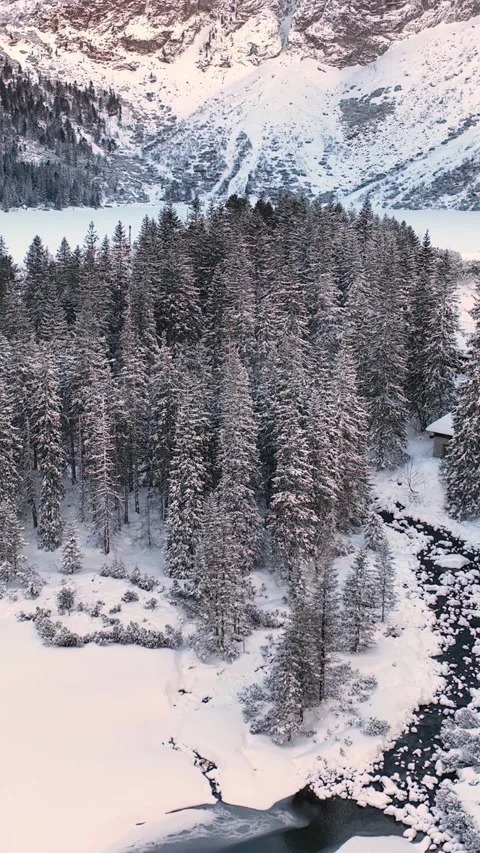 Vertical video: Winter alpine landscape, with snowy forest and frozen lake Stock Footage 297115378