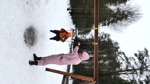Vertical video winter day swing ride. A woman rides on swing baby two years old Stock Footage 273860901