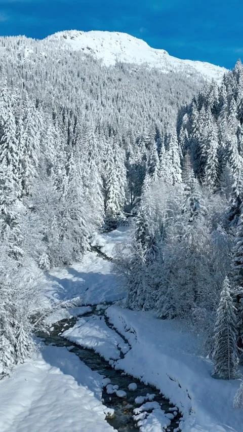 Vertical video: winter holidays in Chamonix, France, French ski resort of Stock Footage 311028659