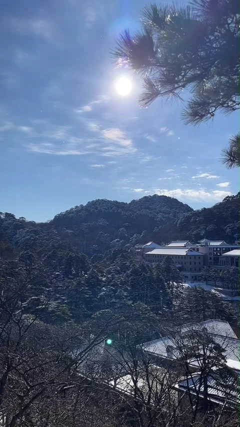 Vertical Video of Winter Mountain Resort Hotel Nestled in Snow Covered Pine Video stock 325561173