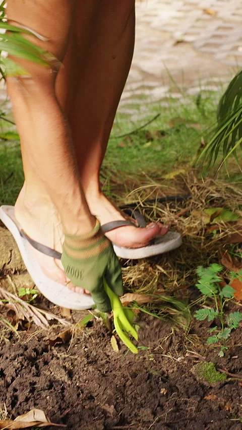 Vertical video. Woman Bends over and Loosens Garden Soil with a Green Hand Culti Stock Footage 340253123