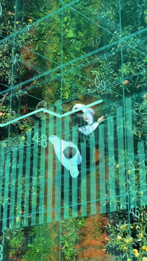 Vertical video: Woman tapping tablet and man inspecting crops in research plot, Stock Footage 334377295
