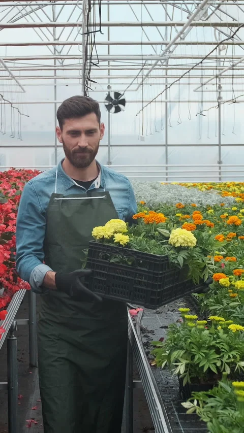 Vertical video Worker walking in a flowerpot. Agricultural engineer working Stock Footage 340200681