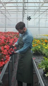 Vertical video Worker walking in a flowerpot. Agricultural engineer working.. Stock Photos