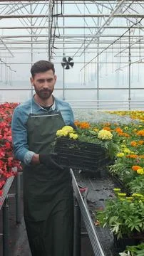 Vertical video Worker walking in a flowerpot. Agricultural engineer working.. Stock Photos