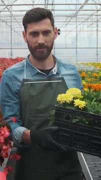 Vertical video Worker walking in a flowerpot. Agricultural engineer working.. Stock Photos