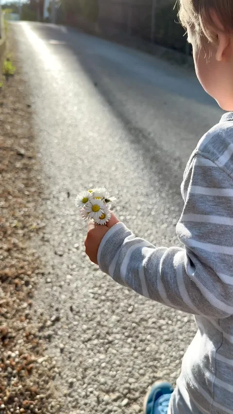 Vertical Video of Young Child Exploring Grass and Garden Plants Vídeos de archivo 345163582