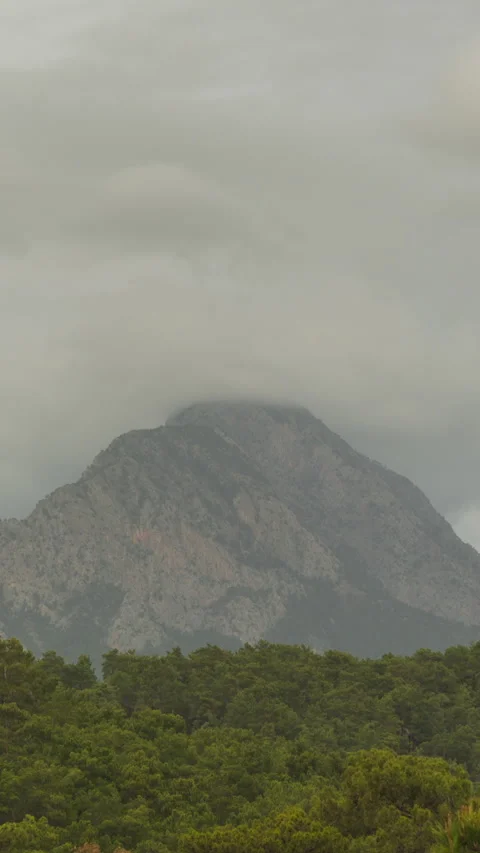 Vertical video. Zoom In Timelapse Variable Rain in the Tropical Forest and 库存影片 274852636