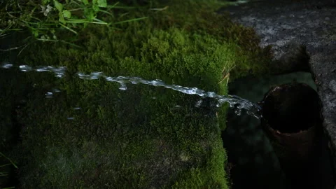 Vertical video,fresh water spring Stock Footage 161840697