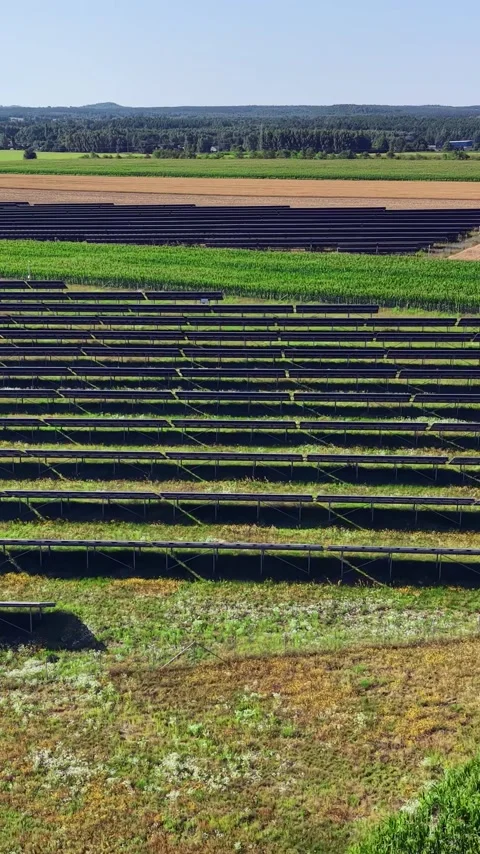 Vertical view. Aerial Solar Panel Field for Clean Energy Production Stock Footage 348631182