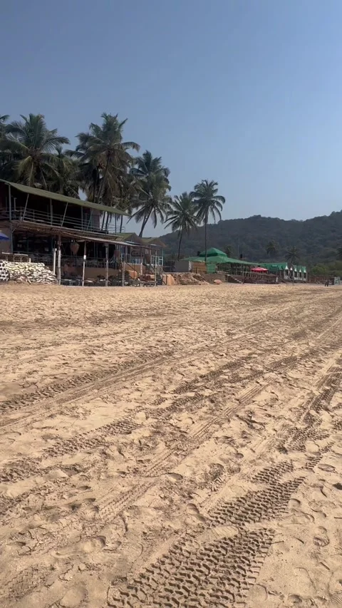 Vertical view of Agonda Beach coastline with beach shacks and palm trees in Goa Vídeo Stock 342968434