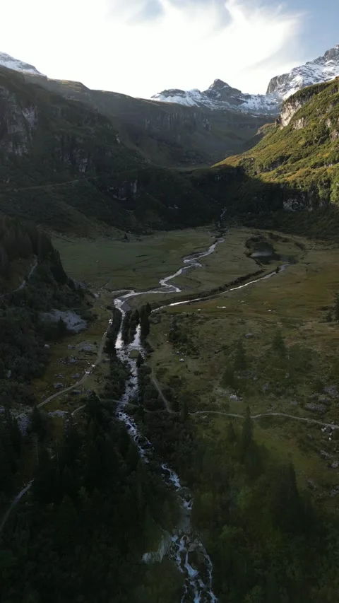 Vertical view of alpine lake with forest in mountain valley Stock Footage 330749493