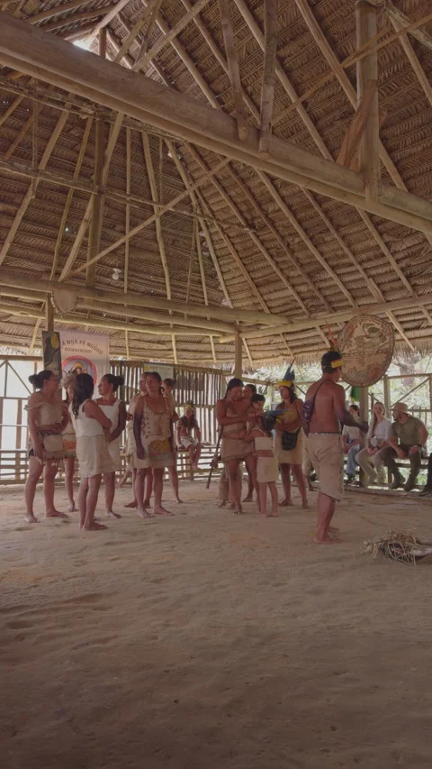 Vertical View of Amazonas Indigenous Dance Inside Thatched Maloca Stock Footage 338020209
