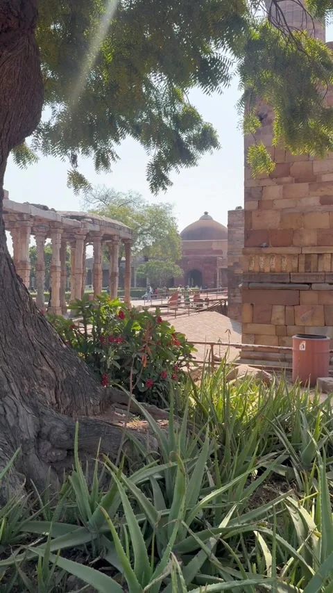 Vertical view of ancient Qutb Minar complex through green foliage in New Delhi Stock Footage 342968388
