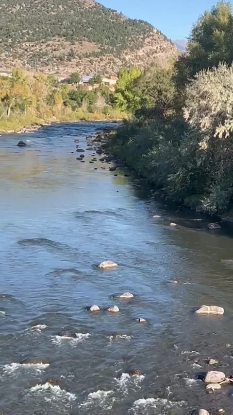 Vertical View of the Animas River in Durango, Colorado Stock Footage 287227672