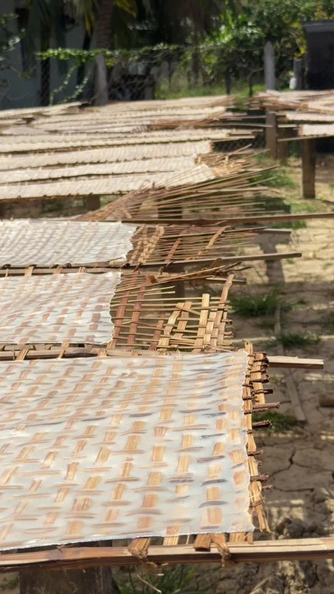 Vertical view of bamboo racks covered with rice paper stretching across a 库存影片 334091124