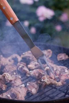 Vertical view of BBQ fork and lamb ribs. Foto stock
