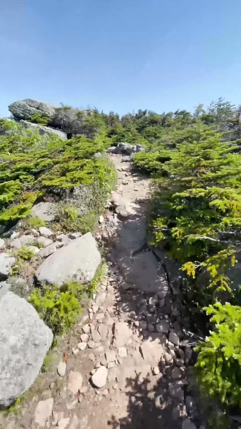 Vertical View of Beautiful Mountain Path Stock Footage 251041080
