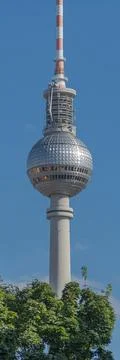 Vertical View of Berlin TV Tower with Blue Sky and Trees Foto stock