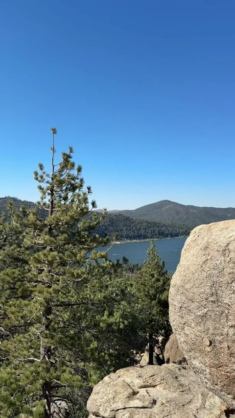 Vertical View of Big Bear Lake and Pine Forest Mountains, California Stock Footage 343008704