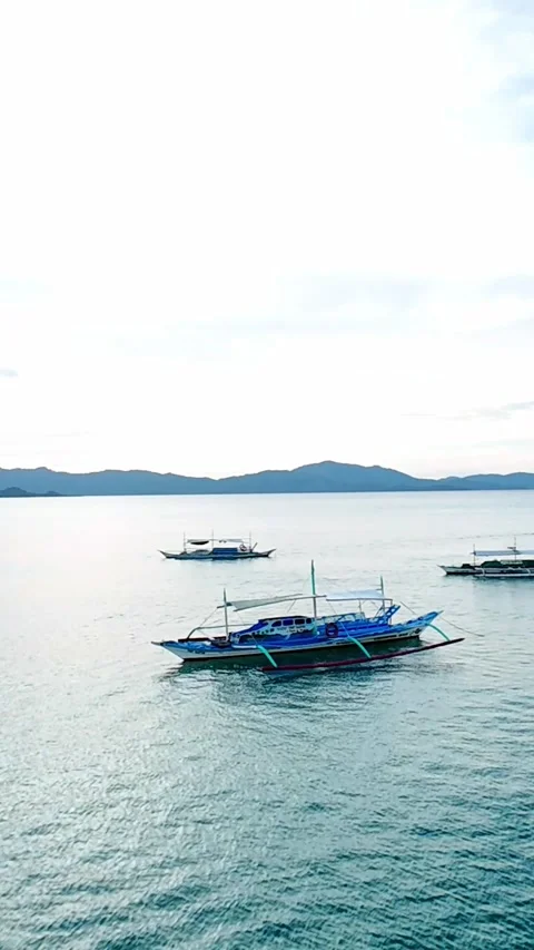 Vertical view of boats floating on tranquil bay at dusk in Palawan, Philippines Video stock 318897663